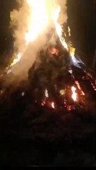 खेत में रखी कड़बी में लगी आग, करीब 100 मन कड़बी जलकर राख
