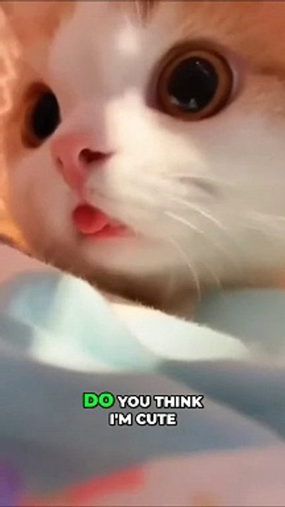 Do You Think I'm Cute_ Yes or No_