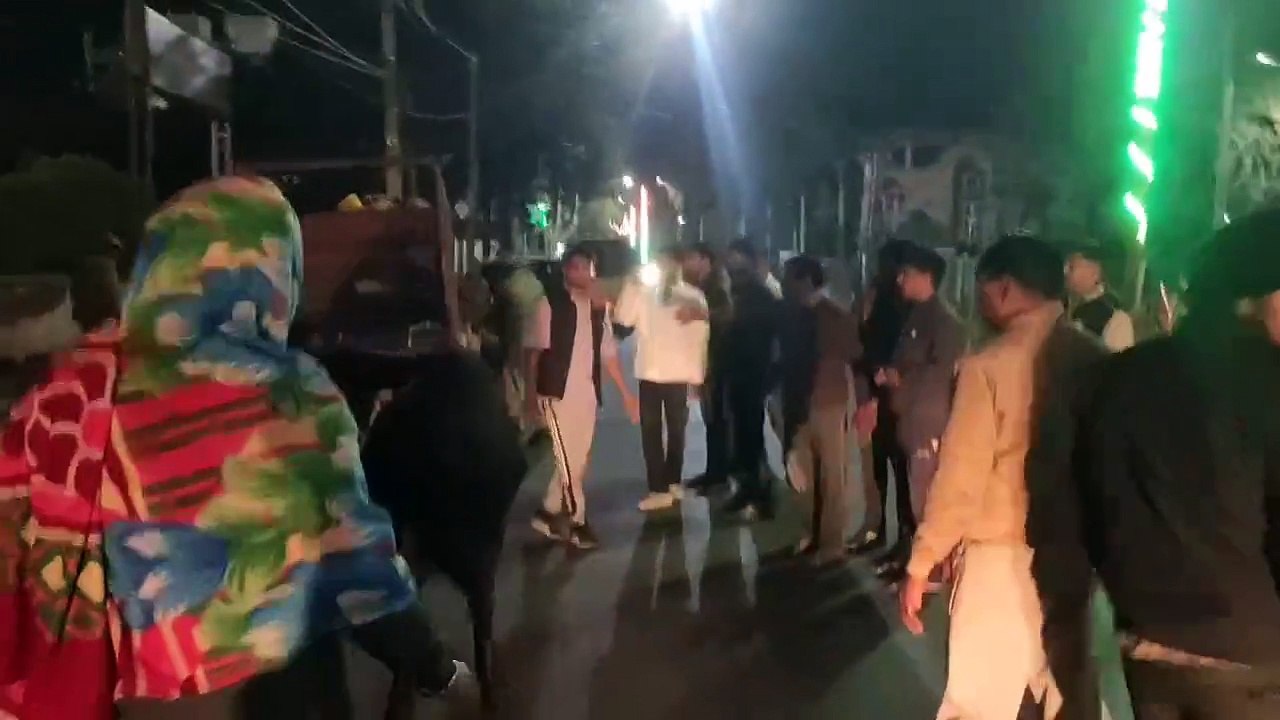 गौवंश से भरी पिकअप छोड़कर भागे तस्कर, ऊपर जमा रखी थी बोतलें