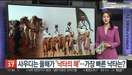 [지구촌톡톡] 사우디는 올해가 '낙타의 해'…가장 빠른 낙타는? 外