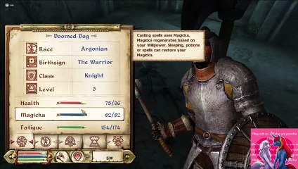 Let's Play The Elder Scrolls IV Oblivion pt 14 ft @IndieTimmie