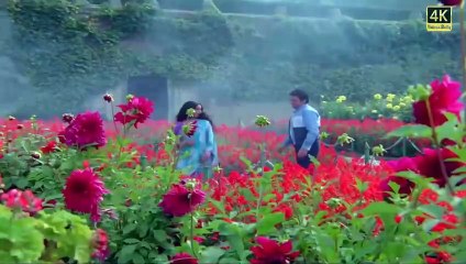 Kaisi Lag Rahi /1984  Jhutha sach /Dharmendra, Rekha, Kishore Kumar, Lata Mangeshkar