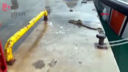 Denizi kirleten tekne sahibine 464 bin 585 lira para cezası