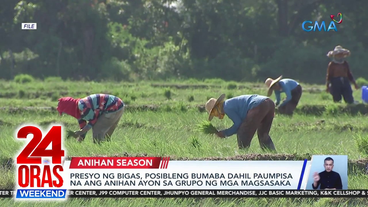 Presyo ng bigas, posibleng bumaba dahil paumpisa na ang anihan ayon sa grupo ng mga magsasaka | 24 Oras Weekend