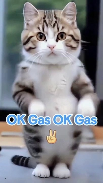 Ok Gas Ok Gas - Video Dailymotion