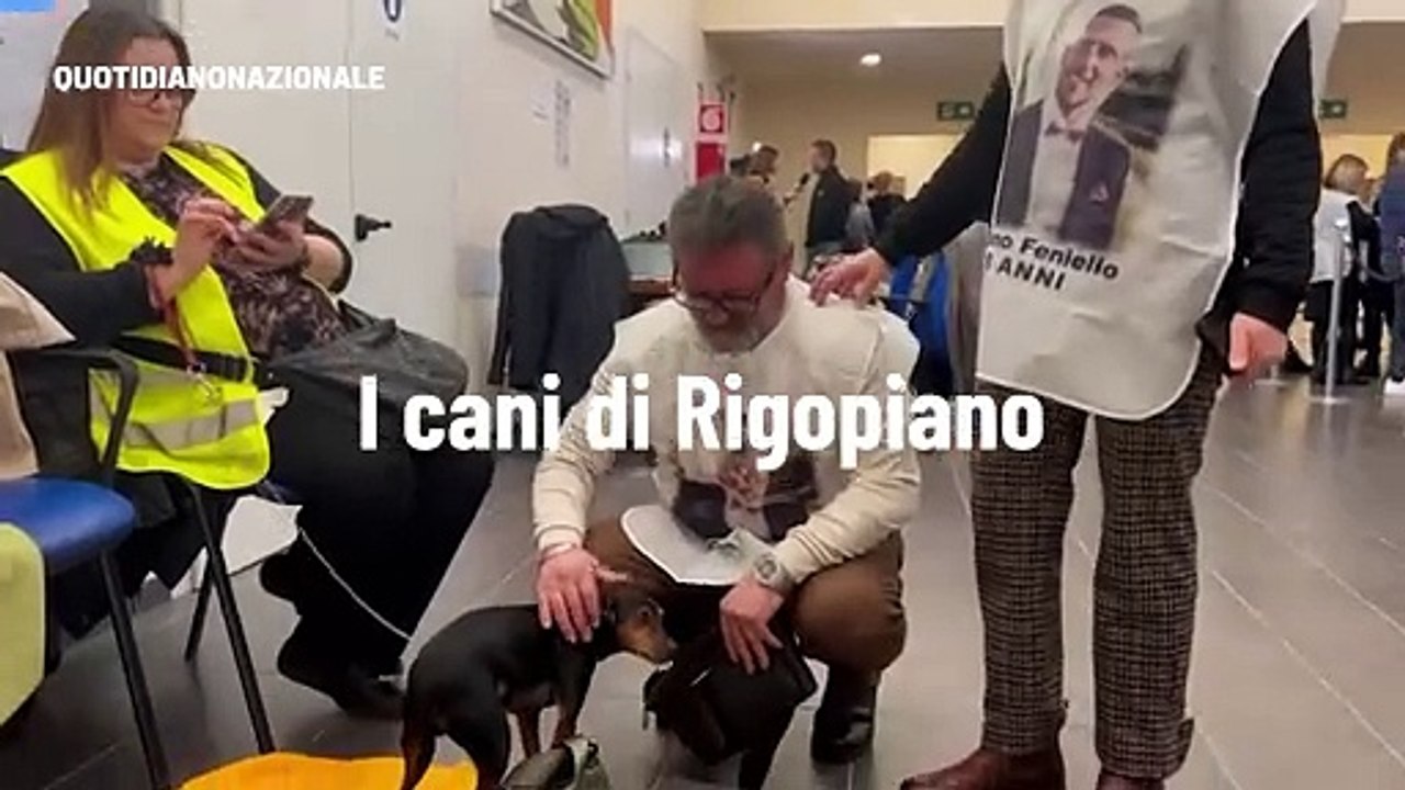 I cani di Rigopiano