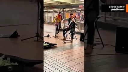 Järkyttävä video: sellisti hyökätään tuntemattoman toimesta soittaessaan New Yorkin metrossa