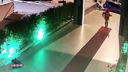 Kırmızı halıyı gören kuryeden podyum yürüyüşü! O hali gündem oldu