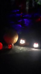 #139. Lighted pumpkins everywhere! This is really cool yawl!
