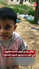 "مأساة إنسانية".. طفل يقوم بجمع أوراق الشجر لطهيها لعدم وجود المواد الغذائية بسبب الحصار