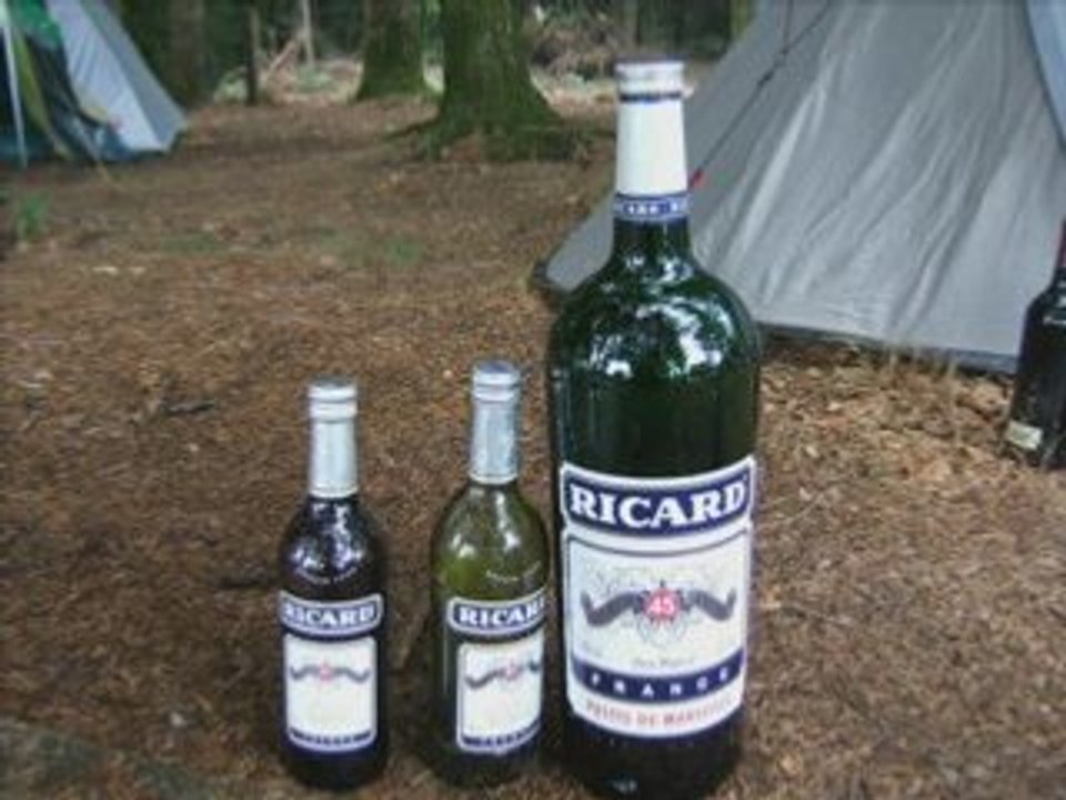 Je serais alcoolique