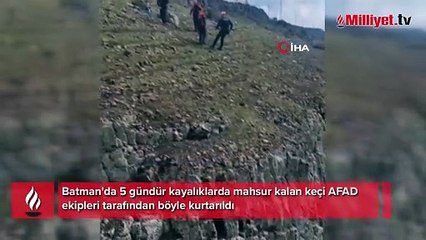 5 gündür kayalıklarda mahsur kalmıştı! Böyle kurtarıldı