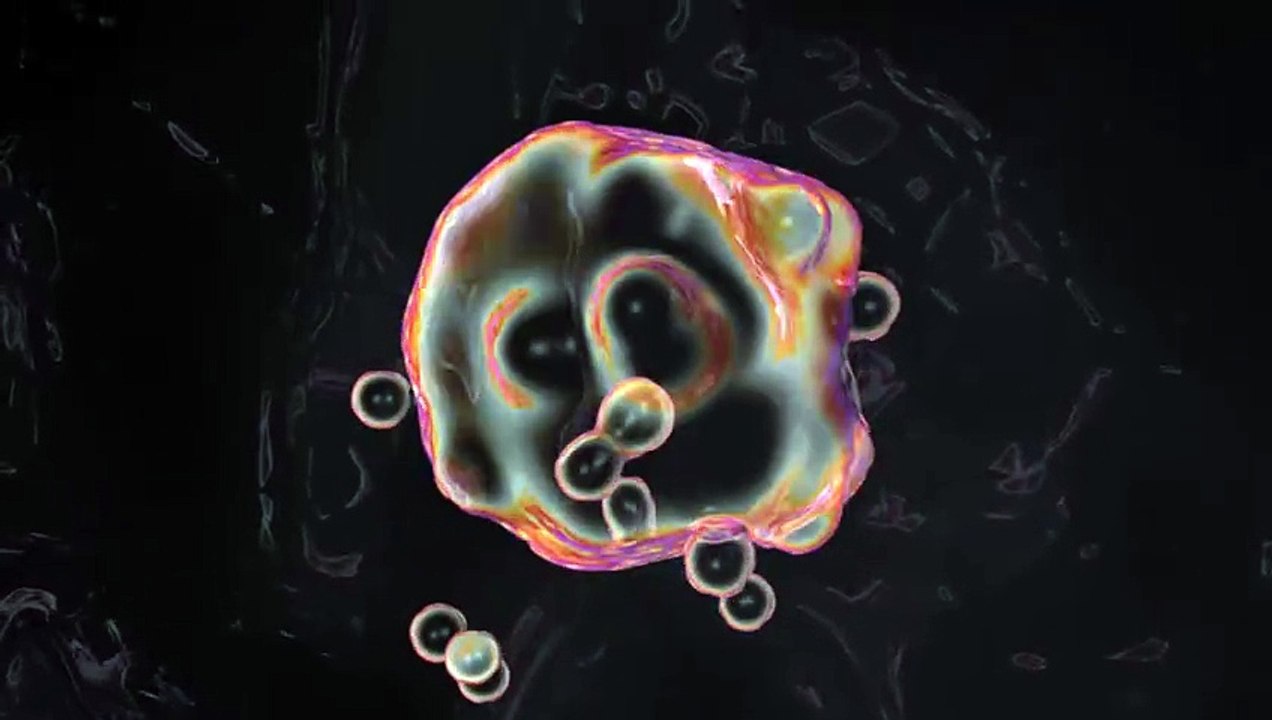 Le Blob ! ( Meta-Boids Cinema 4D )