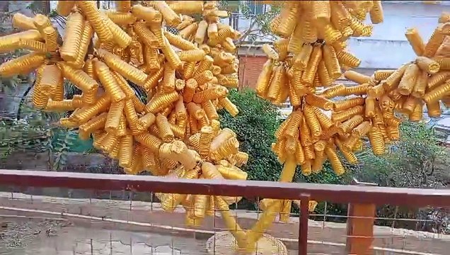 ratlam nagar nigam latest hindi news today video