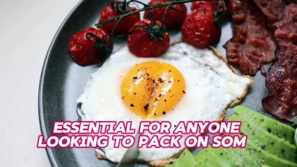 How Much Protein Do You Need to Build Muscle? @soudawelless