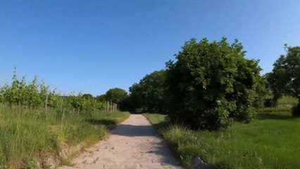 Von Stammersdorf den Bisamberg hinauf | POV E-Bike