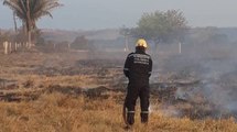 Voraces incendios forestales acabaron con cultivos y animales en Aguachica, Cesar