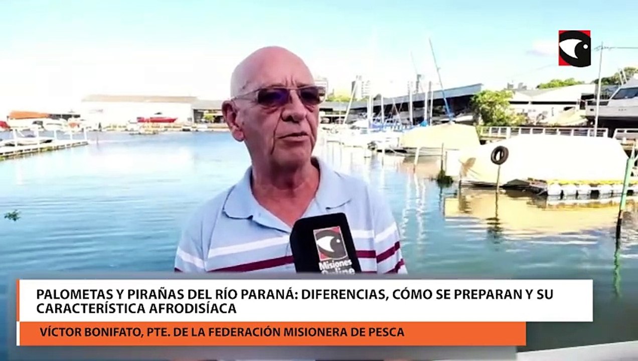 Palometas y pirañas del río Paraná: Diferencias, cómo se preparan y su característica afrodisíaca