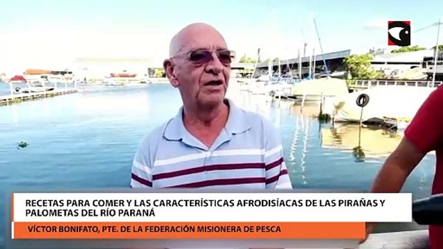 Recetas para comer y las características afrodisíacas de las pirañas y palometas del río Paraná