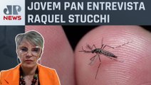 Infectologista analisa surto de dengue que já matou 94 pessoas no Brasil em 2024