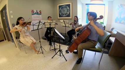 Gold Coast medical students form string quartet to soothe cancer patients