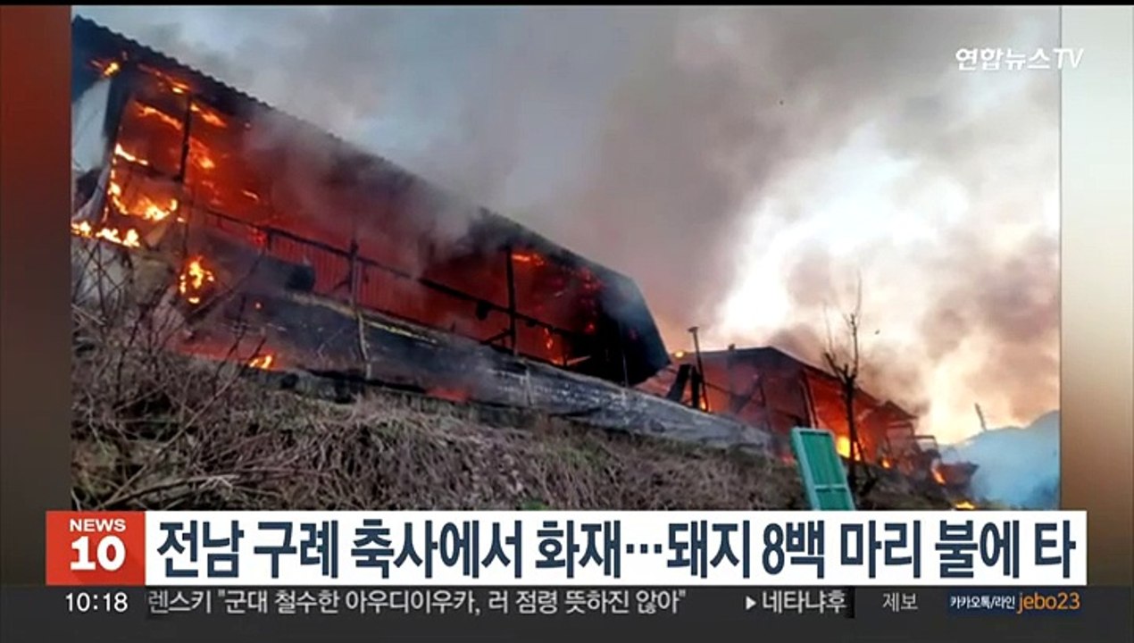 전남 구례 축사에서 화재…돼지 8백마리 불에 타