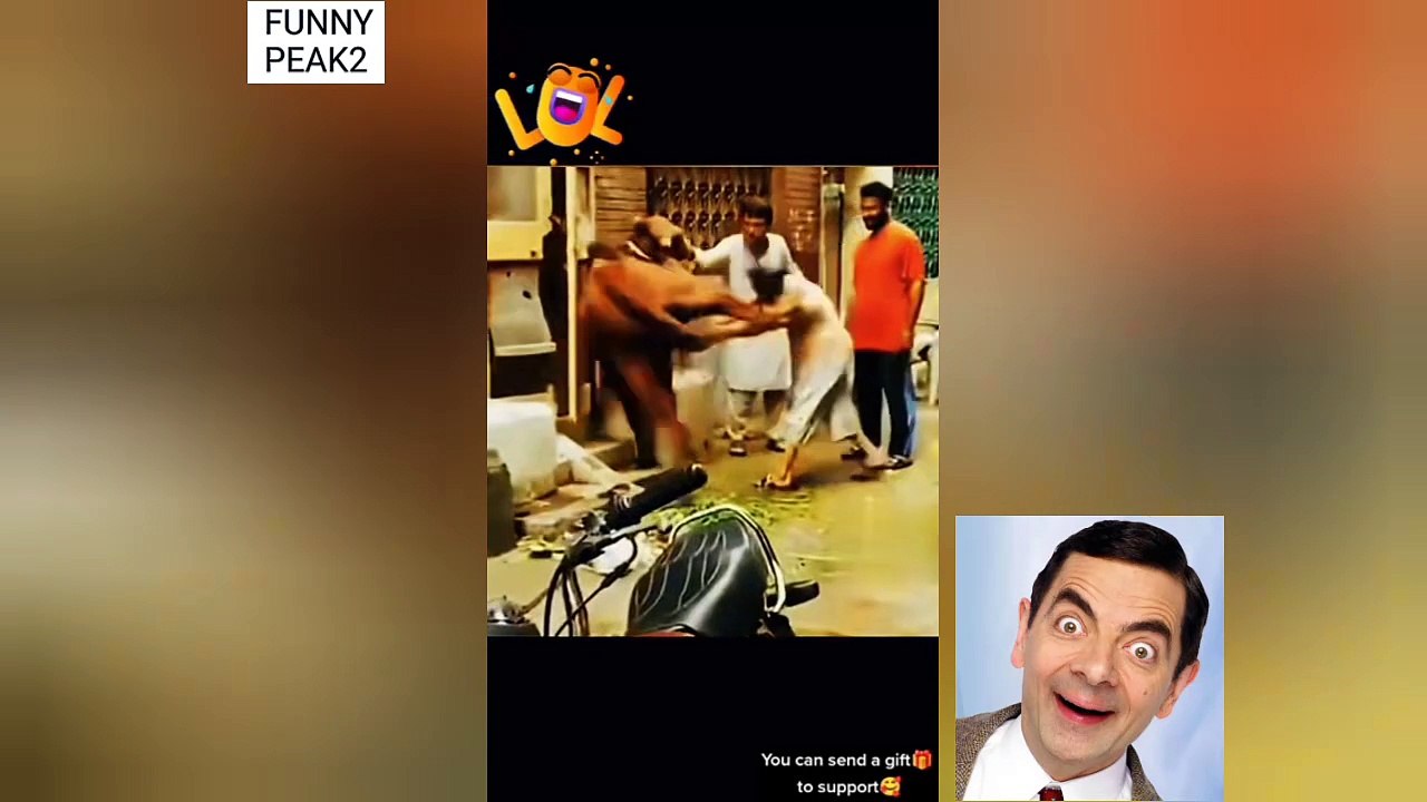 WATCH:Are these Cow and Donkey crazy