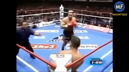 Greatest Knockouts: Jerome Le Banner