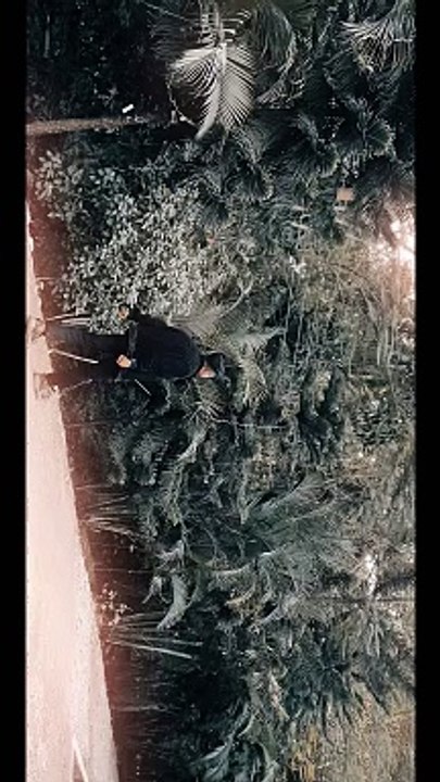 Reelvideo-61770