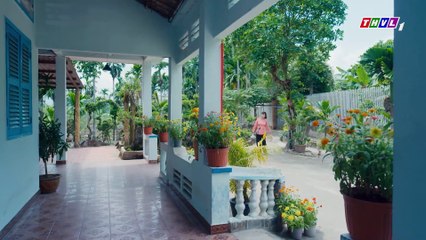 Tết Sum Vầy - Tập 17 - Phim Việt Nam Hài