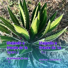 Moises Shemaria Capuano| Viajando a través de la lente (parte 1)