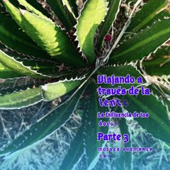 Moises Shemaria Capuano| Espero que esta información (parte 3)