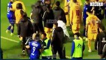 ¡SE PRENDIÓ EL CERRO! La BRONCA entre los jugadores de CRUZ AZUL y TIGRES al final del partido