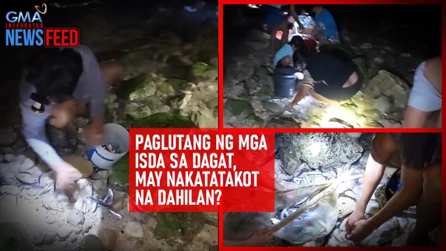 Paglutang ng mga isda sa dagat, may nakakatakot na dahilan? | GMA Integrated Newsfeed
