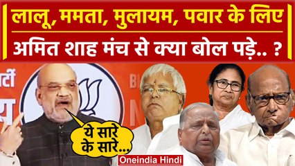 BJP National Council Meeting: Amit Shah विपक्षी नेताओं के बेटों के लिए क्या बोले ? | वनइंडिया हिंदी