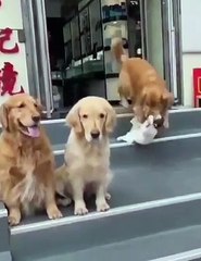 Let us have one Smile click