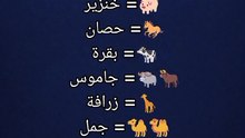 Arabic animals