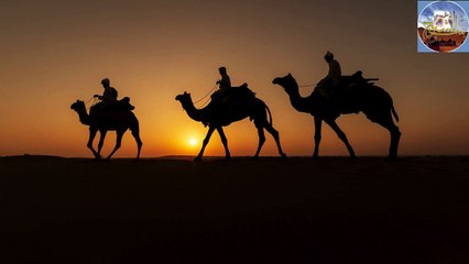 قصة وقصيدة دباس تغرب ٨ سنوات