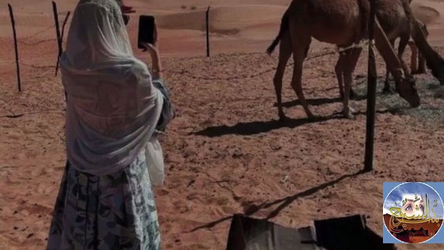 قصة وقصيدة غزل في قبيلة عنزه المسماة بنت الاهرام