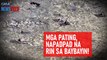 Mga pating, napadpad na rin sa baybayin! | GMA Integrated Newsfeed