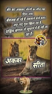 अकबर और सीता #shorts #shortsfeed #akbar #sita #shortsbeta #trending #viral