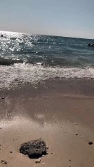 راس سدر - سيناء