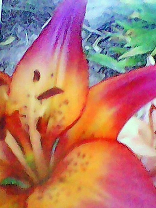 Etude 3 by Heitor Villa Lobos