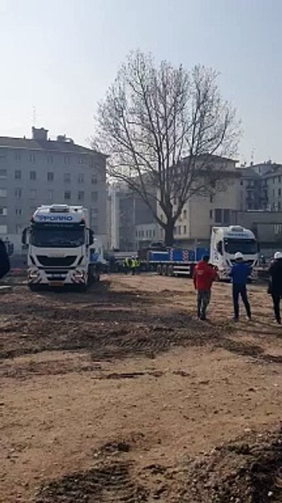 Milano, cantiere Beic: i lavori per trasferire il grande platano di via Monte Ortigara