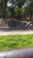 कानन पेंडारी जू में इमू को देखते ही बनता है