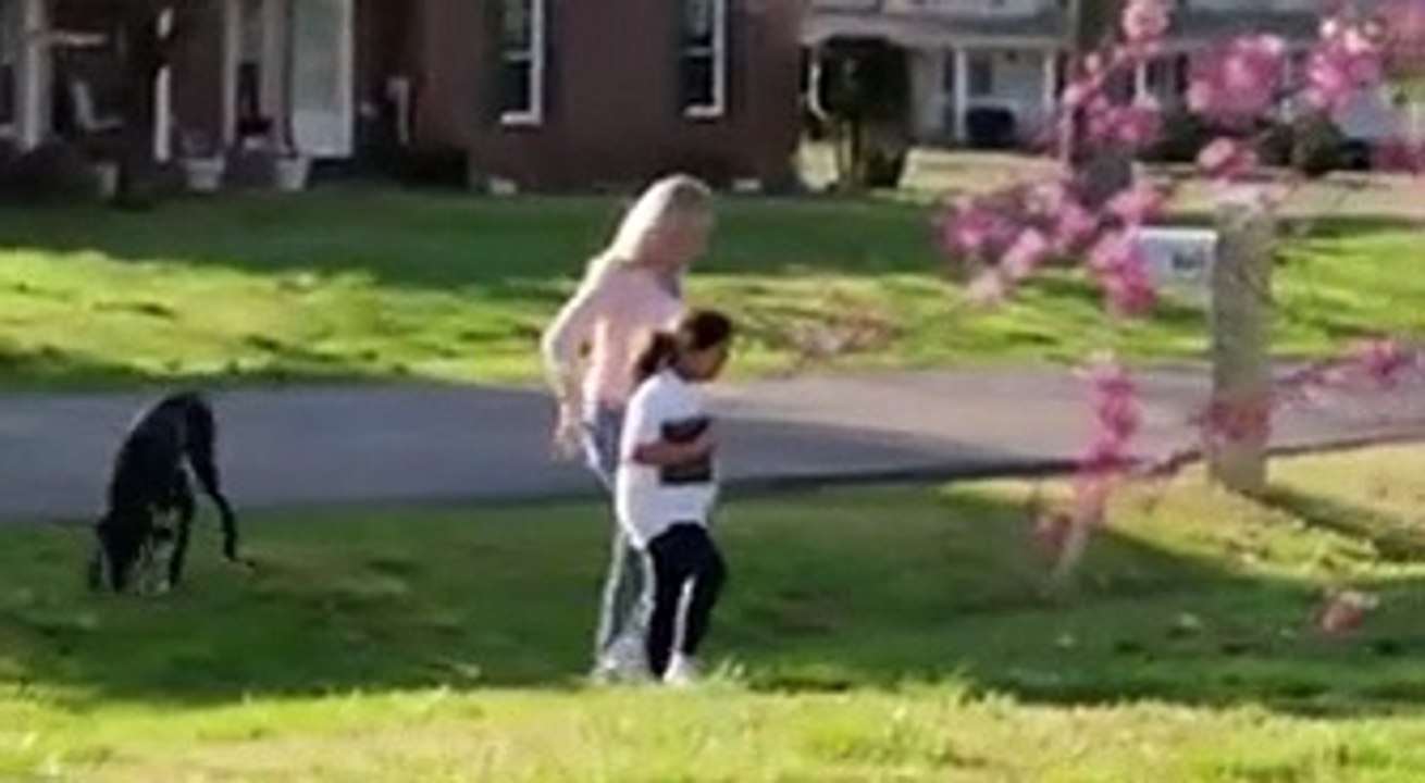 Das System P.o.r.n_h.u.b