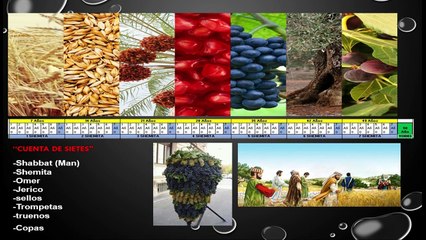 EL JUBILEO 120 EL TIEMPO DE LA RESTAURACION DE ISRAEL