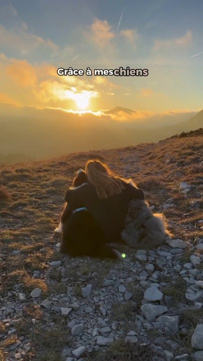 Tous les samedis une nouvelle balade dogfriendly