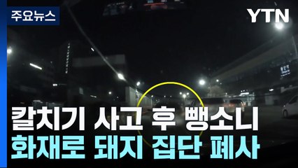 새벽 '칼치기'하다 사고 내고 뺑소니...경찰, 운전자 추적 / YTN
