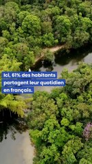 Top 10 des pays où la langue française est la plus parlée en pourcentage